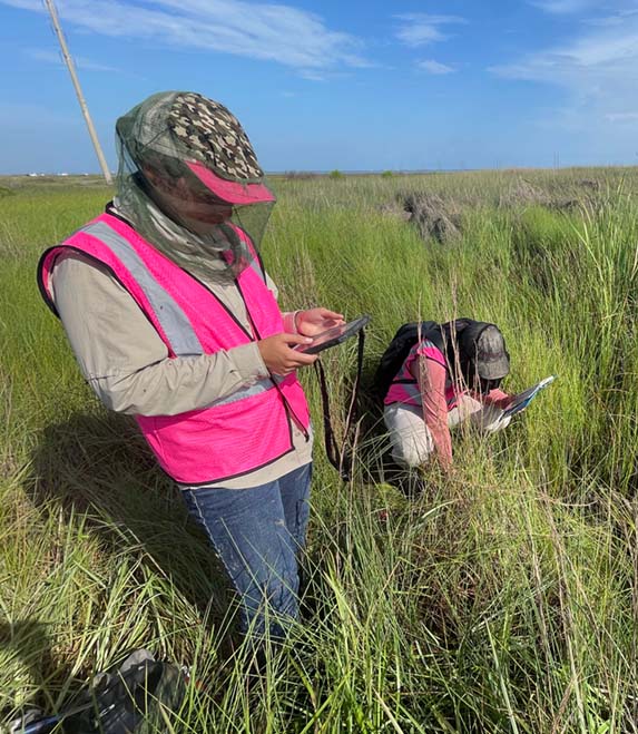 Molly and Jetson's wetland adventure
